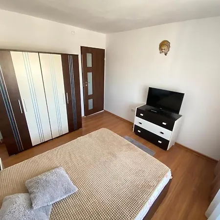 Apartment Gheorghe Lazar Nest Timisoara
