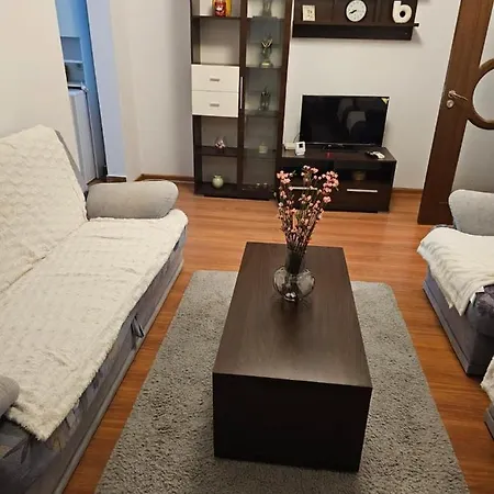 Apartment Gheorghe Lazar Nest Timisoara