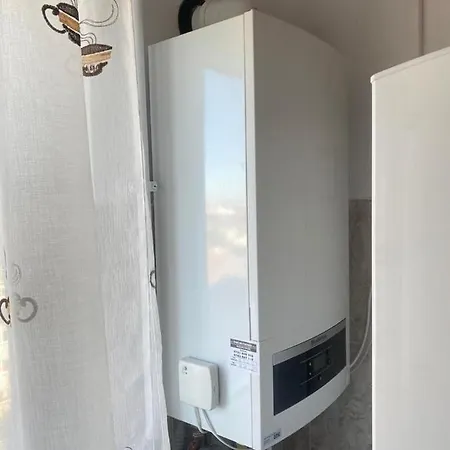 Apartment Gheorghe Lazar Nest